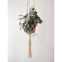 Makramee-Blumenampel Sophia 60 cm | Wandbehang Plant Hanger Boho Pflanzenregal Urban Jungle Makramee-Blumenampel Sophia 60 cm | Wandbehang Plant Hanger Boho Pflanzenregal Urban Jungle von nikewouldratherknot