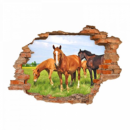 056 Wandtattoo Pferde - Loch in der Wand Wiese Fohlen braun schwarz reiten Koppel - in 6 Größen - Kinderzimmer Sticker Wandaufkleber niedliche Wandsticker Wanddeko Wandbild Mädchen Größe 1000 x 700 mm von nikima Schönes für Kinder