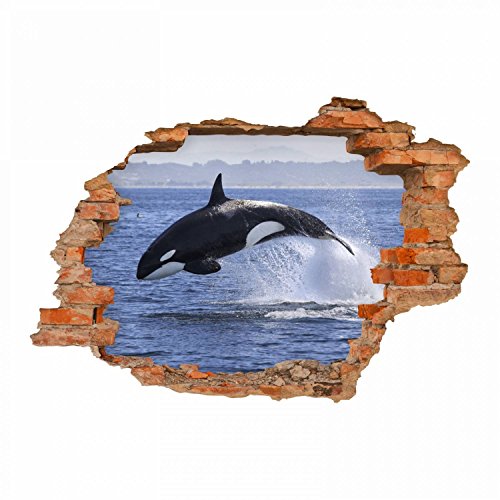 nikima - 102 Wandtattoo Orca Killerwal Schwertwal - Loch in der Wand - in 6 Größen - wunderschöne Kinderzimmer Sticker und Aufkleber Coole Wanddeko Wandbild Junge Mädchen Größe 1250 x 870 mm von nikima Schönes für Kinder