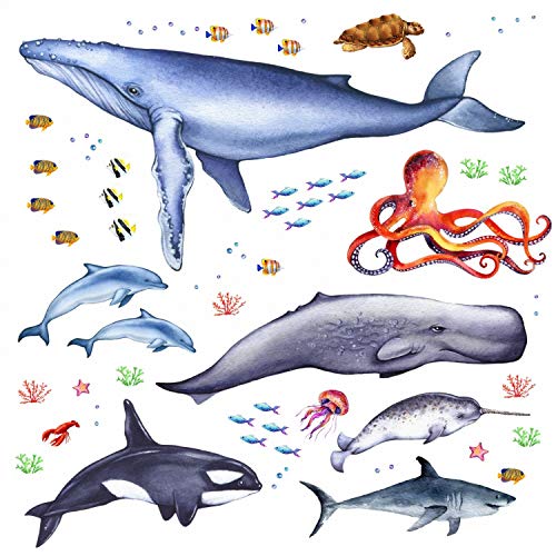 nikima Schönes für Kinder 166 Wandtattoo Tiere der Meere - Blauwal, Hai, Delfin, Orca Größe 750 x 420 mm von nikima Schönes für Kinder