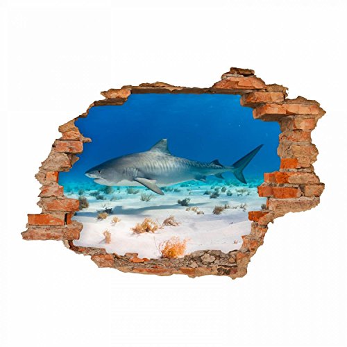 nikima - 100 Wandtattoo Hai Wasser Sand - Loch in der Wand - in 6 Größen - wunderschöne Kinderzimmer Sticker und Aufkleber Coole Wanddeko Wandbild Junge Mädchen Größe 750 x 520 mm von nikima Schönes für Kinder