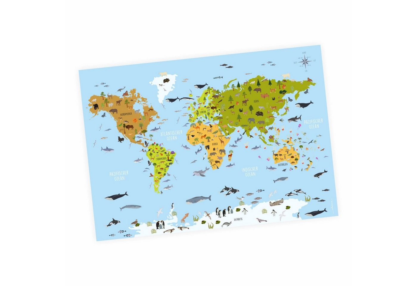 nikima Poster Kinder Weltkarte Tiere bunt, Weltkarte, in 3 Größen von nikima