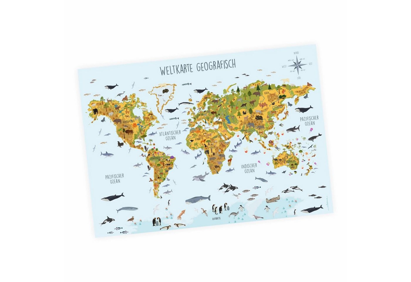 nikima Poster Kinder Weltkarte Tiere geografisch, Weltkarte, in 3 Größen von nikima