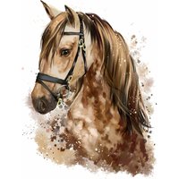 085 Wandtattoo Pferd Kopf Braun - Kinderzimmer Teenager Aufkleber Sticker Wandbild Wanddeko Reiten in 6 Größen Nikima von nikimashop