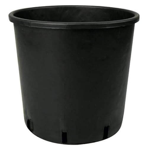 Blumentopf Grow Pflanzkübel schwarz Kunststoff Blumetöpfe rund Topf 4 7 11 15 19 26 Liter (A1 rund 4 L) von nito GROW EQUIPMENT