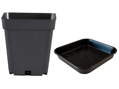 nito GROW EQUIPMENT Blumentopf Set 2 teilig: Topf und Untersetzer mit 14/18 / 25/30 Liter Fassungsvermögen quadratisch Kunststoff Pflanzkübel schwarz (14 L) von nito GROW EQUIPMENT