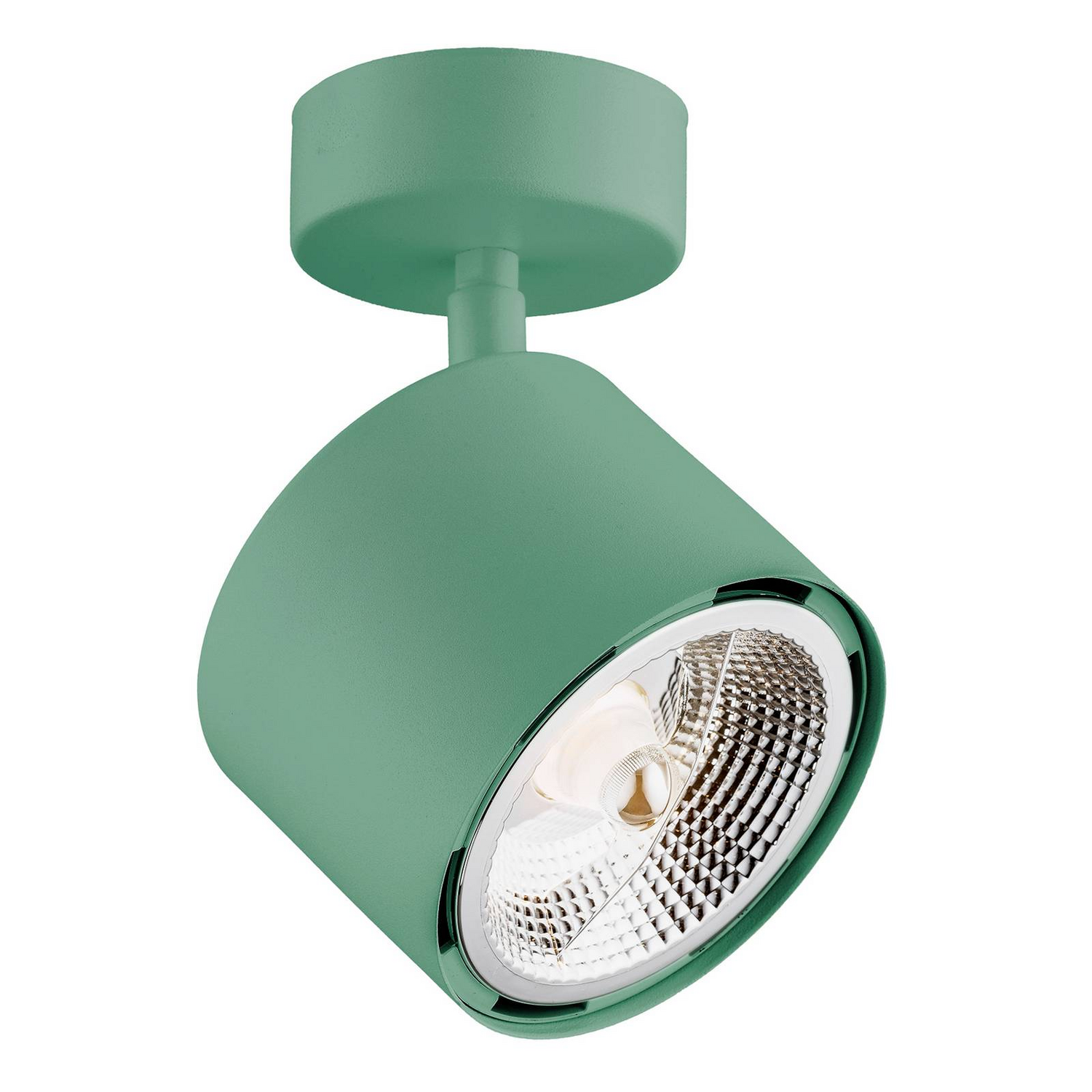 Decken Spotleuchte Chloe Verstellbar Lichtquelle Grün Deckenlampe Deckenleuchte B-Ware Decken Spotleuchte Chloe Verstellbar Lichtquelle Grün Deckenlampe Deckenleuchte B-Ware von no name