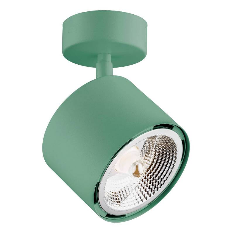 Decken Spotleuchte Chloe Verstellbar Lichtquelle Grün Deckenlampe Deckenleuchte B-Ware von no name