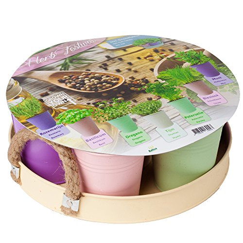 15020 Kräutergarten Set mit 7 Samensorten in Zink-Eimerchen mit Tablett von notrash2003® von noTrash2003