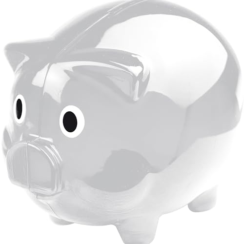 Grosses Transparentes Sparschwein aus Plastik Geschenkidee Sparen Spardose Moneybank Einzeln oder im Doppelset 12,5 x 10 x 10 cm Blau Rot Grün oder Transparent (1, Transparent) von noTrash2003