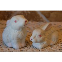 Niedliche Häschen-Salz - Und Pfefferstreuer ~ Der Große Ist Ungefähr 2 3/4 "Hoch Haben Stopper Niedlich Für Sammler von noplace2putit