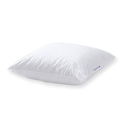 Nordic Coast Daunenkissen 40x40cm Couchkissen Sofakissen Kissenfüllung Kissen Inlet Federkissen Made in Germany Premium Daunen Kissen für Sofa, Bett, formstabil und stüztend als Kopfkissen Nordic Coast Daunenkissen 40x40cm Couchkissen Sofakissen Kissenfüllung Kissen Inlet Federkissen Made in Germany Premium Daunen Kissen für Sofa, Bett, formstabil und stüztend als Kopfkissen von nordic coast company