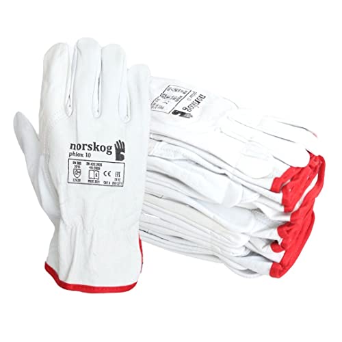 norskog PHLOX - Schutzhandschuhe 12 Paar Elastische Band Kanadischer Handschuhe aus Rindsleder Arbeitshandschuhe für Fahrer & Montage ISO, CE PSA CAT II, EN 420, EN 388 (12,8) von norskog