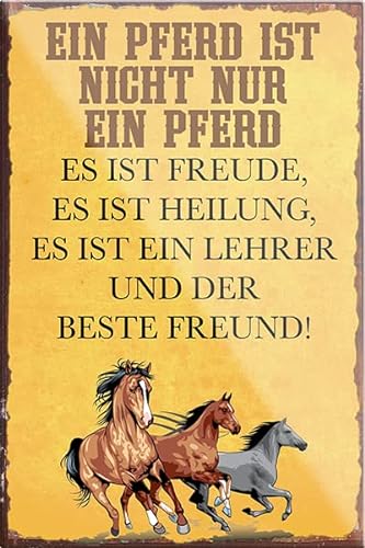 Magnet ''EIN Pferd ist Nicht nur EIN Pferd Beste Freund'' 9x6cm Kühlschrankmagnet Lustige Sprüche Feier Vintage Retro Geburtstag Deko Party Überraschung Fan Nutztier Pferd Reiten Pony Stall von Generic