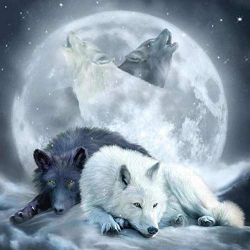 5D Diamond Painting Wolf im Mondlicht 40X50CM Full Set DIY Diamant Malerei Crystal Strass Stickerei Arts Crafts für Haus Wand Büro Decor Ideal geschenk von nuoyaya