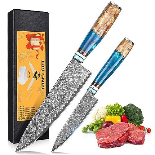 oFuun Küchenmessersets Damast Kochmesser Profi Messer, 2-Teilig Scharfes Küchenmesser Messer Chefmesser 20cm Japanisches Messer Damaststahl 67 Schichten mit Ergonomischem Griff Fleisch von oFuun