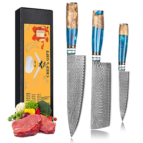 oFuun Küchenmessersets Damast Kochmesser Profi Messer, 3-Teilig Scharfes Küchenmesser Messer Chefmesser 20cm Japanisches Messer Damaststahl 67 Schichten mit Ergonomischem Griff Fleisch von oFuun