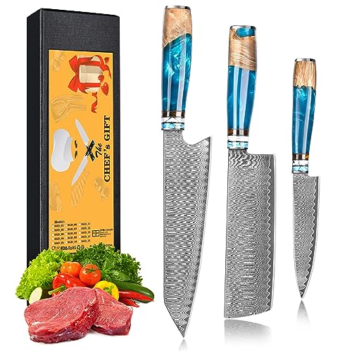 oFuun Küchenmessersets Damast Kochmesser Profi Messer, 3-Teilig Scharfes Küchenmesser Messer Chefmesser 20cm Japanisches Messer Damaststahl 67 Schichten mit Ergonomischem Griff Fleisch von oFuun