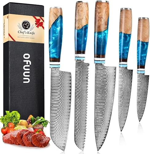 oFuun Küchenmessersets Damast Kochmesser Profi Messer, 5-Teilig Scharfes Küchenmesser Messer Chefmesser 20cm Japanisches Messer Damaststahl 67 Schichten mit Ergonomischem Griff Fleisch von oFuun