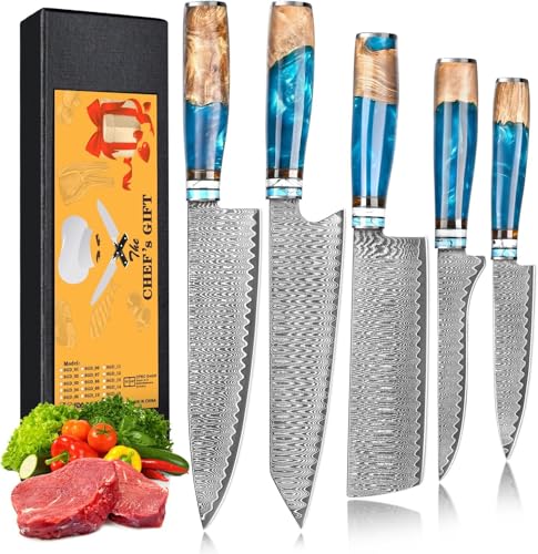 oFuun Küchenmessersets Damast Kochmesser Profi Messer, 5-Teilig Scharfes Küchenmesser Messer Chefmesser 20cm Japanisches Messer Damaststahl 67 Schichten mit Ergonomischem Griff Fleisch von oFuun