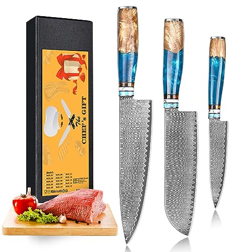 oFuun Küchenmessersets Damast Kochmesser Profi Messer, 5-Teilig Scharfes Küchenmesser Messer Chefmesser 20cm Japanisches Messer Damaststahl 67 Schichten mit Ergonomischem Griff Fleisch von oFuun