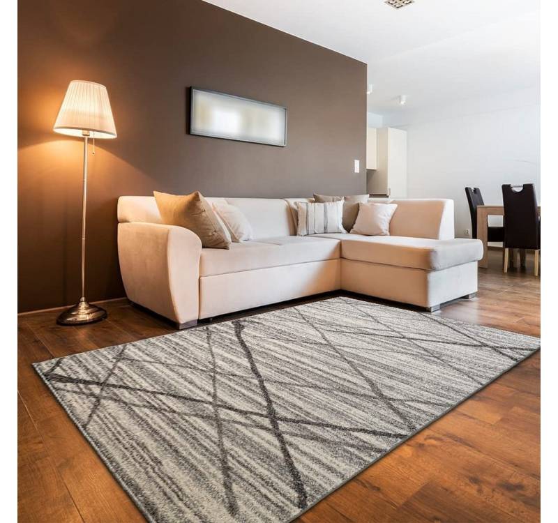 oKu-Tex Teppich Mercur, Rechteckig, Höhe: 11 mm, Teppich Mercur, Kurzflor, modernes Design, besonders weicher Flor, Grau von oKu-Tex