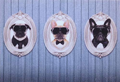 oKu-Tex Fußmatte | Schmutzfangmatte | "Deco-Star" | Aufdruck/Motiv | Hunde Portraits | lustig | Innenbereich / Eingangsbereich | rutschfest | 40x60 cm von oKu-Tex