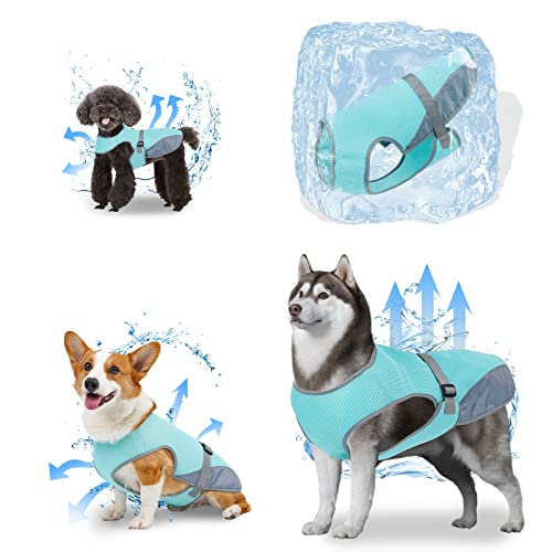 oUUoNNo Kühlweste für Hunde, Kühlweste für Hunde, Kühljacke, Haustier-Kühlweste, atmungsaktives Netzgewebe, verstellbare Träger, Kühlweste für kleine, mittelgroße und große Hunde (Größe XL, Blau) von oUUoNNo