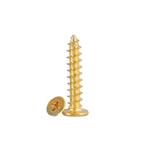 20 Stück M2 M2.5 Messingbeschichteter Kohlenstoffstahl Großer flacher dünner Kopf Spitzschwanz Nagelbolzen Selbstschneidende Schraube(5mm,M2 20pcs) von oavhvchg