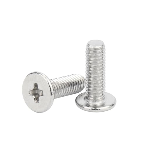 50@ STÜCKE M2 M 2.5M3 M4 M5 M6 M8 CM Kreuzschlitz Edelstahl Kreuzschlitzschraube(6mm,M2.5 (100pcs)) von oavhvchg