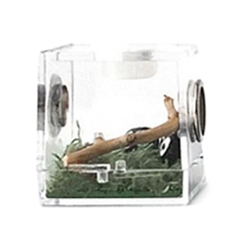 objbhuely 1 x Reptilien-Zuchtbox, transparente Futterbox, Krabbeltier-Reptilien-Zuchtboxen, Sichtbox mit Anti-Flucht-Design von objbhuely