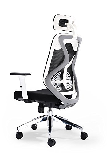 office hippo Ergonomischer Bürostuhl, Schreibtischstuhl mit Rückensupport und Kopfstütze, Verstellbarer Drehstuhl mit Spannungskontrolle, zur täglichen Verwendung für Menschen mit bis zu 115 kg von office hippo