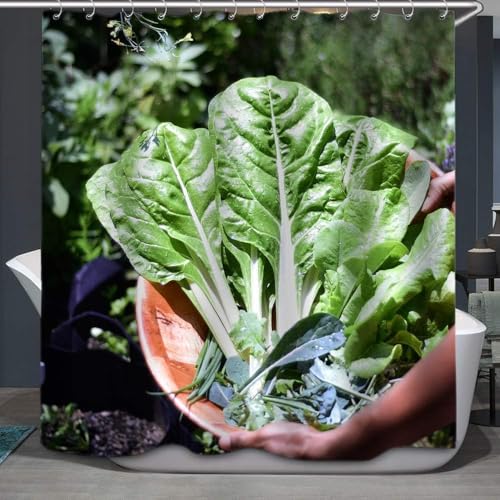 Duschvorhang 180x220 cm Grünes Blattgemüse, 3D Duschvorhang Anti-Schimmel Grünes Blattgemüse, Shower Curtains Polyester Wasserdicht Duschvorhänge für Badezimmer, Bad Vorhang mit 12 Haken b2540 von okoikfc