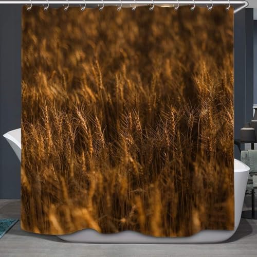 Duschvorhang 220x200 cm Weizenfeld, 3D Duschvorhang Anti-Schimmel Weizenfeld Im Landhausstil, Shower Curtains Polyester Wasserdicht Duschvorhänge für Badezimmer, Bad Vorhang mit 12 Haken b2888 von okoikfc