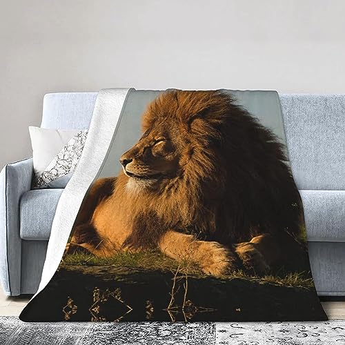 Kuscheldecke 150 x 200 cm 3D Afrika Flanell Fleecedecke, Weich Warm Flauschig Decke Löwe Wohndecke Decken für Sofadecke Couchdecke kuscheldecken für Kinder Erwachsene, Blanket von okoikfc