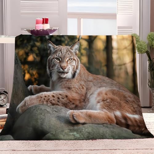 Kuscheldecke 150 x 200 cm 3D Drucken Luchs Decke Flanell Fleecedecke Weich Warm Flauschig kuscheldecken Tier Wohndecke Decken für Sofadecke Couchdecke, Kinder Erwachsene O702 von okoikfc