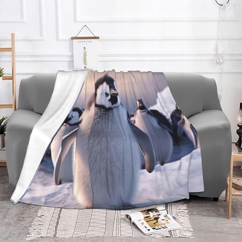 Kuscheldecke 150 x 200 cm 3D Süßer Pinguin Decke Flanell Fleecedecke Weich Warm Flauschig kuscheldecken Süßer Pinguin Wohndecke Decken für Sofadecke Couchdecke, Kinder Erwachsene F870 von okoikfc