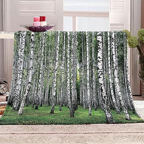 Kuscheldecke 150 x 200 cm 3D Weiße Birke Flanell Fleecedecke, Weich Warm Flauschig Decke Wald Wohndecke Decken für Sofadecke Couchdecke kuscheldecken für Kinder Erwachsene, Blanket von okoikfc