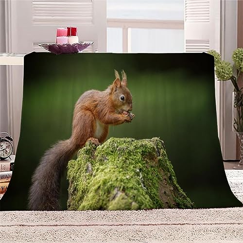 Kuscheldecke 70 x 100 cm 3D Süßes Eichhörnchen Decke Flanell Fleecedecke Weich Warm Flauschig kuscheldecken Süßes Eichhörnchen Wohndecke Decken für Sofadecke Couchdecke, Kinder Erwachsene von okoikfc