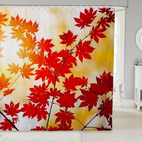 okoikfc Duschvorhang 220x200 cm Herbstliche Ahornblätter, 3D Duschvorhang Anti-Schimmel Herbstliche, Shower Curtains Polyester Wasserdicht Duschvorhänge für Badezimmer, Bad Vorhang mit 12 Haken b2658 von okoikfc
