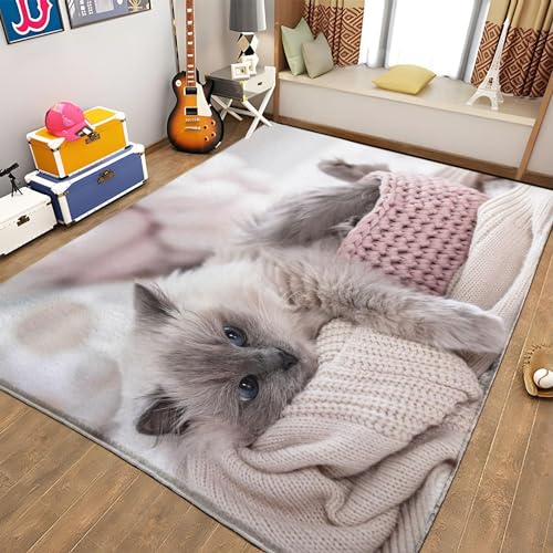 okoikfc Grau Teppich Wohnzimmer, 3D Katze Teppich 100 x 150 cm, Waschbarer rutschfest Teppiche für Kinderzimmer Schlafzimmer Deko Antirutschmatte Carpet L874 von okoikfc