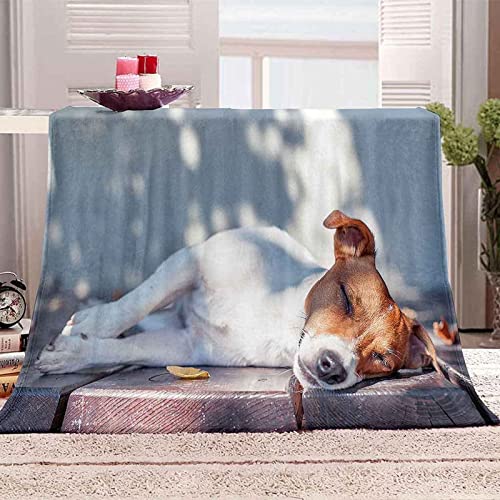 okoikfc Kuscheldecke Flauschig 100x130 cm 3D Jack Russell Terrier Decke Fleecedecke - Wohndecke, Sofadecke Kleine, Decke Couch Blanket, Kuscheldecke Kinder, Sofa überwurfdecke von okoikfc