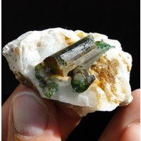 Grüner Chrome Turmalin - Dravit Auf Matrix Commander, Nadonjukin, Tansania Kostenloser Versand von oldminerals
