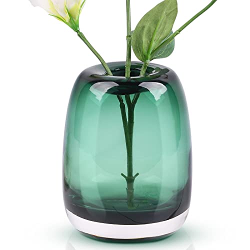 oliruim Grüne Glasvase, zylindrische Vase für Tafelaufsatz, grüne Heimdekoration, Kristallvase für Küche, Tisch, Wohnzimmer, Café-Dekor von oliruim