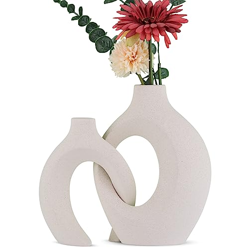oliruim Weiße Vase mit Pampasgras - Moderne Design-Weiße Matte Keramikvase für Boho-Dekor, Hochzeitstischdekoration, Blumenzentrumdekoration, Tischdekoration für Wohnzimmer und Schlafzimmer(Weiß) von oliruim