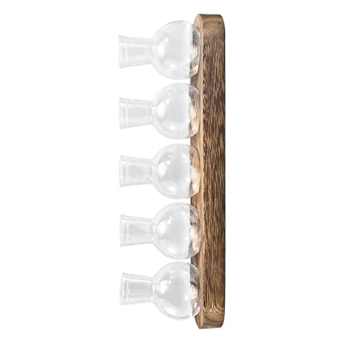 Moderner Plastikpflanzer Für Innenhydrokulturpflanzen Wasserverbreitung Vasen Mit Holzstand Home Office Desktop Dekore Moderner Acrylpflanzer Moderner Plastikpflanzer Für Innenhydrokulturpflanzen Wasserverbreitung Vasen Mit Holzstand Home Office Desktop Dekore Moderner Acrylpflanzer von omiinitio