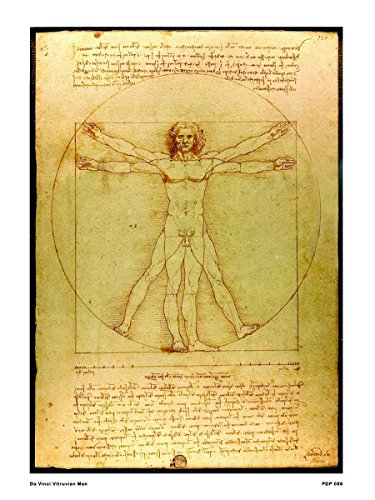 onthewall Da Vinci L 'Uomo Vitruviano 30 x 40 cm Kunstdruck Poster von onthewall