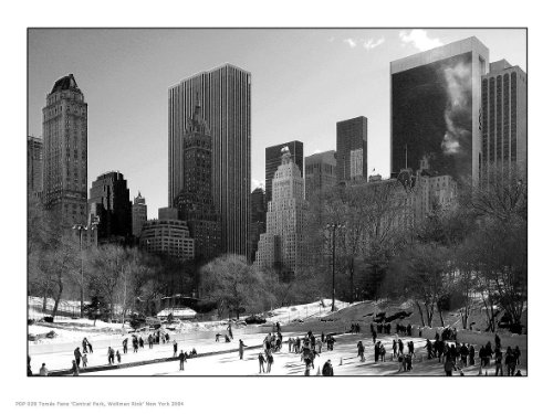 onthewall PDP 028 Kunstdruck, Motiv: New York City Central Park, Kunstdruck, Poster von onthewall