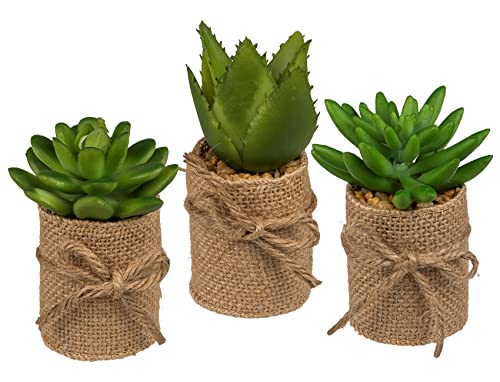 ootb Sukkulenten im Topf/Jutestoff Deko Kunstblumen Minipflanze Pflegeleicht 3er Set ootb Sukkulenten im Topf/Jutestoff Deko Kunstblumen Minipflanze Pflegeleicht 3er Set von ootb