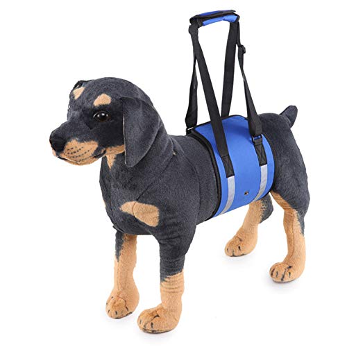 Geschirr Hund Tragehilfe Hund Hundetraggeschirr für Treppen hoch und runter Hundetragling Hundelift Unterstützung Gehhilfen für Hunde Reflective-Blue,M von othulp